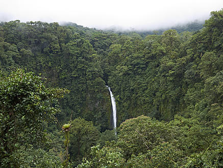 Mittelamerika, Costa Rica, Blick auf La Catarata de la Fortuna - BSC000184