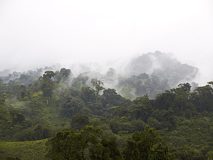 Mittelamerika, Costa Rica, Blick auf den Vulkan Arenal Nationalpark - BSCF000185