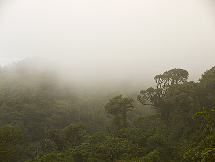 Mittelamerika, Costa Rica, Blick auf den Wald - BSCF000186