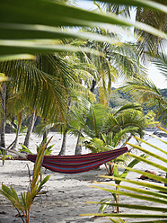 Central America, Costa Rica, Hammock between palms at Puerto Carrillo - BSCF000196