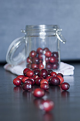 Preiselbeeren in Einmachgläsern auf dem Tisch, Nahaufnahme - ASF004691