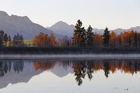 Deutschland, Bayern, Blick auf den Huttler Weiher - SIEF003048