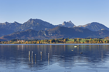 Deutschland, Bayern, Blick auf den Hopfensee - SIEF003051