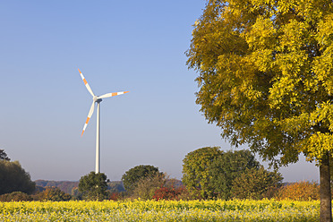 Deutschland, Nordrhein-Westfalen, Blick auf eine Windkraftanlage auf einem Feld bei Coesfeld - MSF002817
