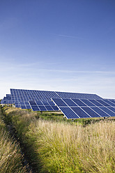 Deutschland, Nordrhein-Westfalen, Solarmodule im Solarenergiepark bei Saerbeck - MSF002825