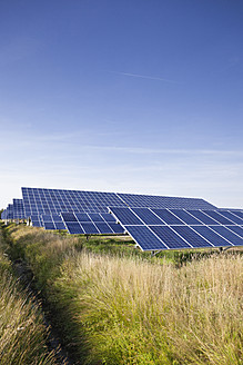 Germany, North Rhine-Westphalia, Solar panels at solar energy park near Saerbeck - MSF002825