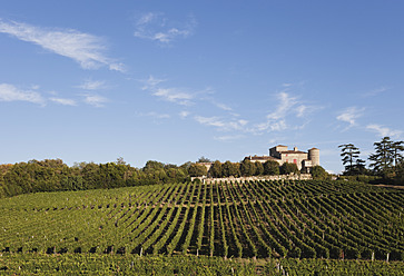 Frankreich, Bordeaux, Weinberge und Chateau Lacaussade - GWF002049