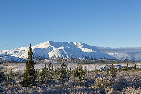 USA, Alaska, Blick auf den Denali-Nationalpark - FOF004490