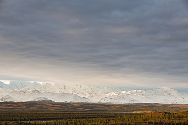 USA, Alaska, Blick auf die Alaska-Kette im Denali-Nationalpark - FOF004533