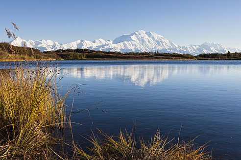USA, Alaska, Blick auf den Mount McKinley und die Spiegelung eines Teiches im Denali National Park - FOF004545