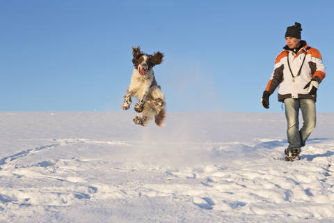 Deutschland, Bayern, Englischer Springer Spaniel und Hundehalter spielen im Schnee, lizenzfreies Stockfoto