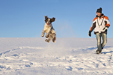 Deutschland, Bayern, Englischer Springer Spaniel und Hundehalter spielen im Schnee - MAEF005441