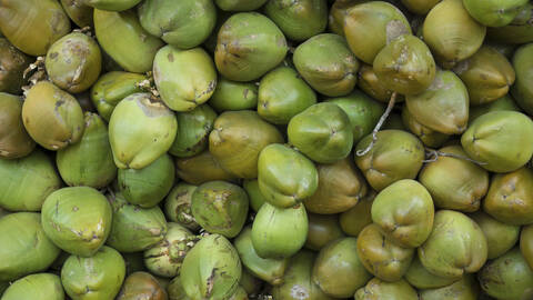 India, Bangalore, Green coconut at street shop, close up stock photo