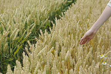 Deutschland, Hand eines jugendlichen Mädchens, das Weizen im Weizenfeld berührt - CRF002250