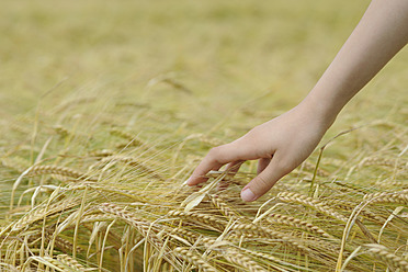 Deutschland, Hand eines Teenagers, der Gerste auf einem Feld berührt - CRF002245