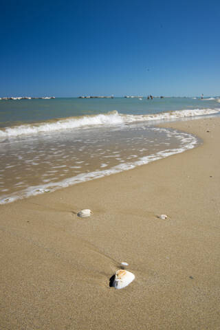 Italien, Blick auf Strand mit Muschel, lizenzfreies Stockfoto