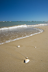 Italien, Blick auf Strand mit Muschel - KAF000038