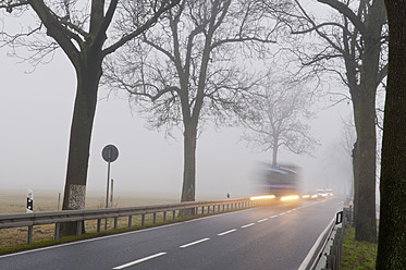 Deutschland, Brandenburg, Verkehr auf Landstraße bei Nebel - BFRF000133