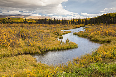 Kanada, Blick auf Squirrel Creek - FOF004614