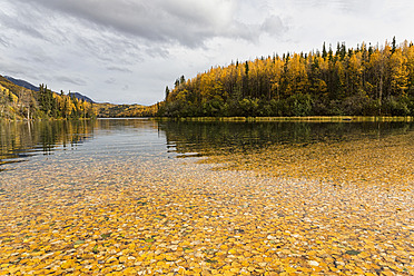 USA, Alaska, Herbstlaub in Long Lake - FO004637