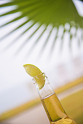 USA, Texas, Beer bottles with slice of lime in front of palm tree leaf - ABAF000587