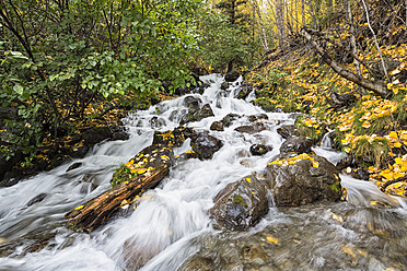 USA, Alaska, Kleiner Bach im Herbst - FOF004667