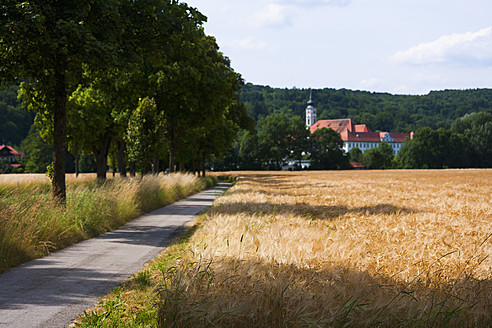 Deutschland, Blick auf ein Weizenfeld und das Kloster Schaeftlarn im Hintergrund - TCF003184