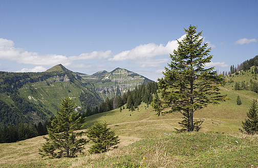 Österreich, Blick auf die Postalm, im Hintergrund die Osterhorngruppe - WW002614