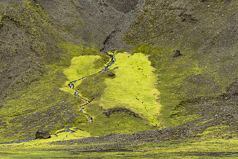 Iceland, Landmannalaugar, View of meltwater creek through moss area - HLF000029