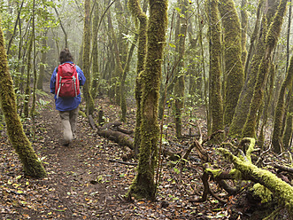 Spanien, La Gomera, Ältere Frau wandert durch den Nebelwald - SIEF003123