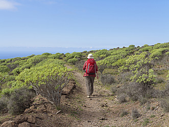 Spanien, La Gomera, Ältere Frau wandert durch Euphorbia-Sträucher am Berg La Merica - SIEF003131
