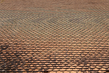 Germany, Roof of Medival Castle - TCF003248