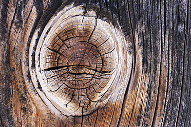 Germany, Old spruce wood board, close up - TCF003243