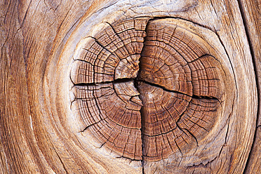 Germany, Old spruce wood board, close up - TCF003242