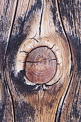 Germany, Old spruce wood board, close up - TCF003241