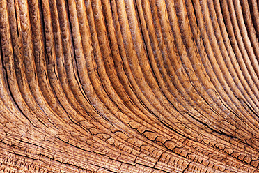 Germany, Old spruce wood board, close up - TCF003239