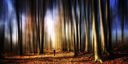 UK, Scotland, Woman walking on pathway in forest - SMA000058