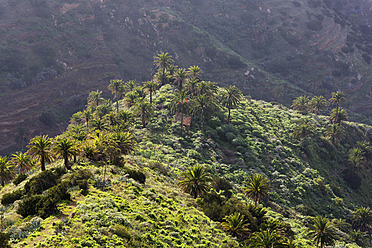 Spanien, La Gomera, Blick auf den Barranco de Simancas bei Vallehermoso - SIE003185