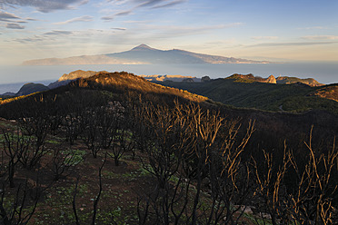 Spanien, La Gomera, Blick auf den Berg Alto de Garajonay, Teneriffa im Hintergrund - SIE003157