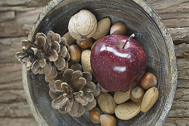 Apfel, Nüsse und Pinienzapfen für Weihnachten in einer Schale auf dem Tisch - ASF004740