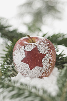 Apfel mit Schneestern, Nahaufnahme - ASF004745