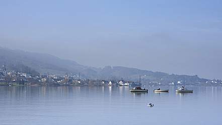 Schweiz, Lachen, Fischerboot und Möwe auf dem Zürichsee - HLF000047