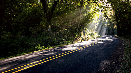 USA, Oregon, Blick auf Straße mit Sonnenlicht - SMA000071