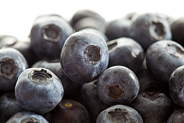 Blaubeeren vor weißem Hintergrund, Nahaufnahme - CSF016143