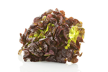 Rotes Blatt Salat auf weißem Hintergrund, Nahaufnahme - MAEF005568