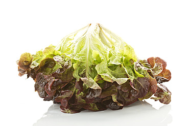 Rotes Blatt Salat auf weißem Hintergrund, Nahaufnahme - MAEF005570