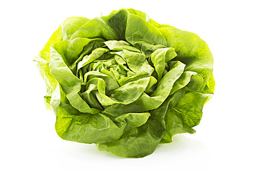 Butterhead lettuce on white background, close up - MAEF005572