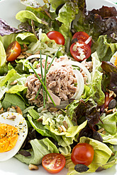 Salat mit Thunfisch, Nahaufnahme - MAEF005593