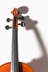 Geige aus dem 19. Jahrhundert - TCF003272
