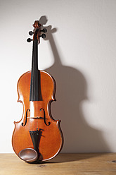 Geige aus dem 19. Jahrhundert - TCF003273